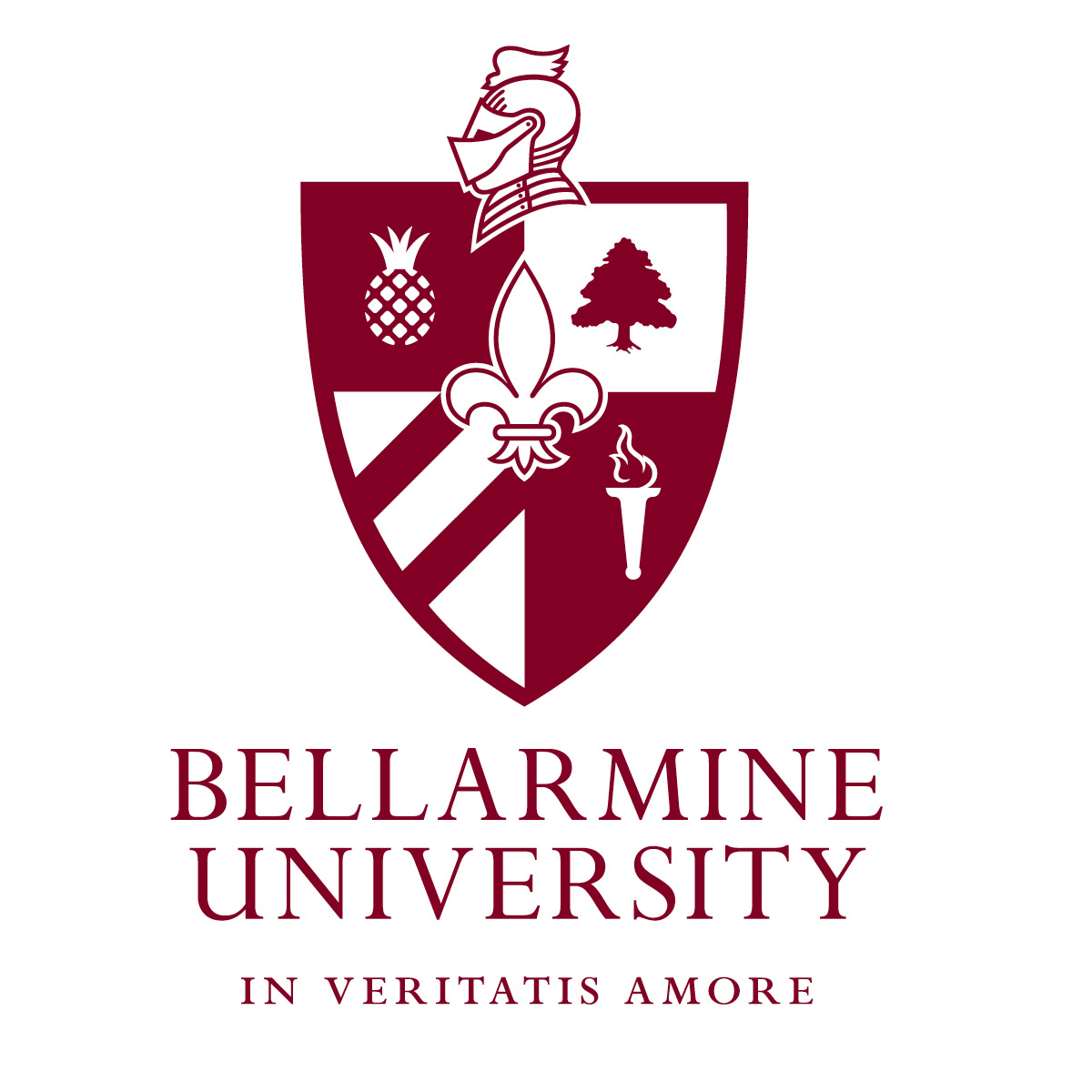 My University. | Bellarmine university, Bellarmine, College acceptance