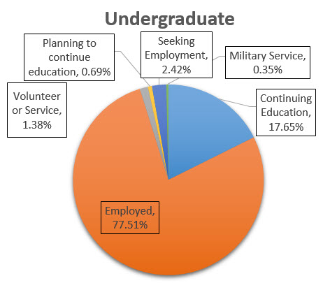 Undergraduate Job Placement