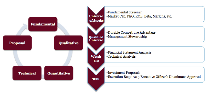 investment process copy