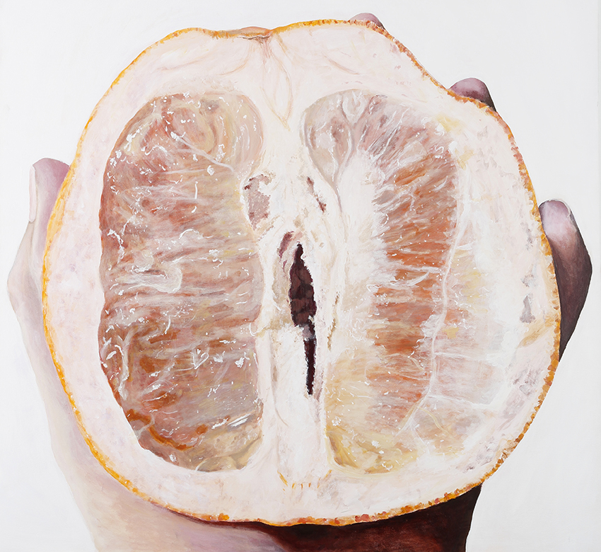 22grapefruit22_deborah_zimlich