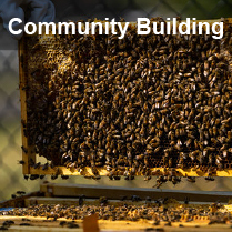 community building