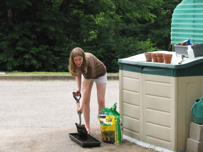 Tova Planting Soybeans