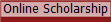 Online Scholarship