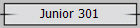Junior 301
