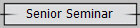 Senior Seminar