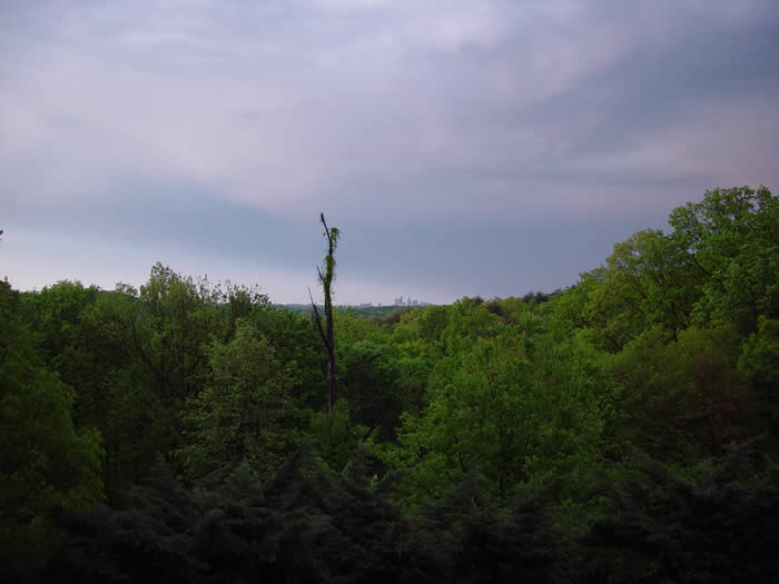 Dr. Porta's Back Yard