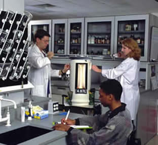 Dr. Porta in the lab