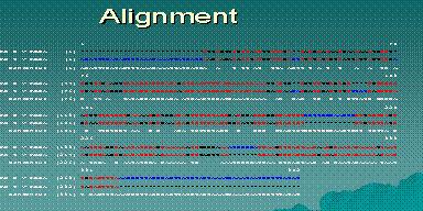 Alignment