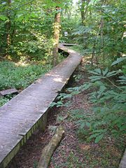 The 41 acre Beargrass Creek State Nature Preserve is located in the heart of the city