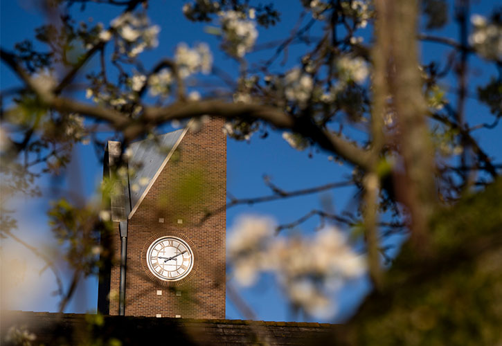Spring-on-Campus