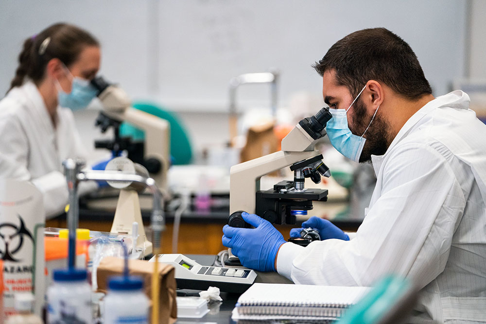 Students Studying in Lab