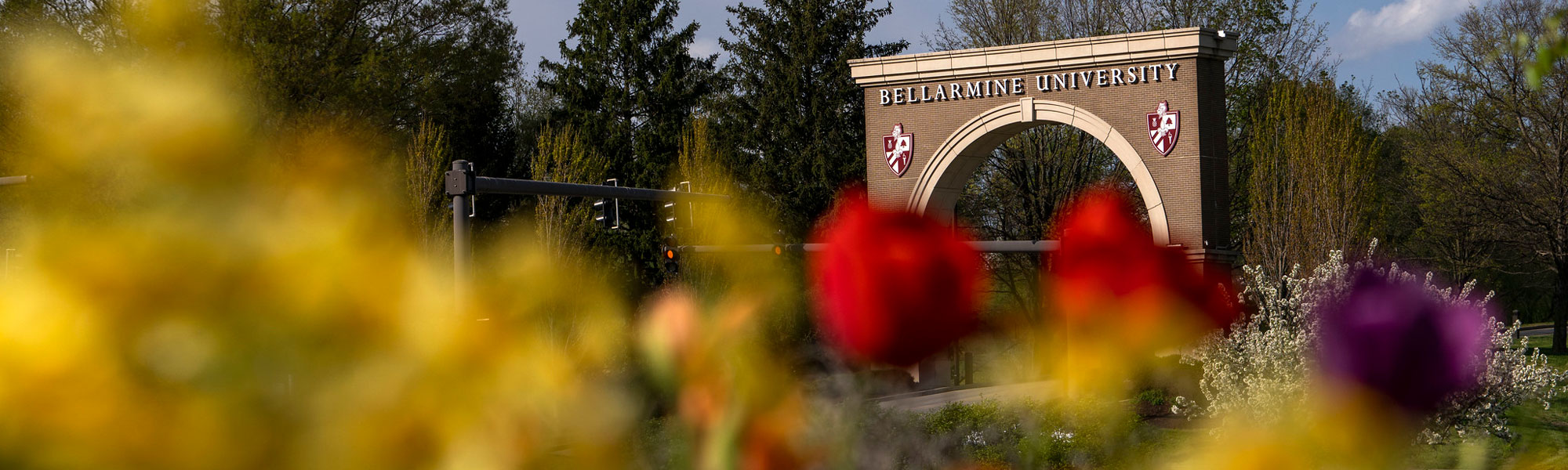 Bellarmine arch