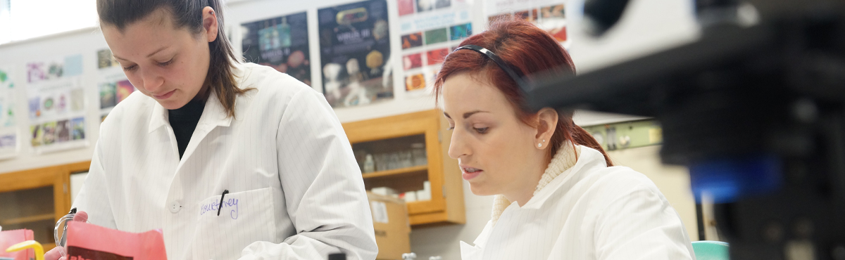 Students in biology class