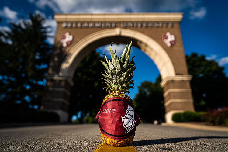 Pineapple with Bellarmine mask in from of St. Robert Gate