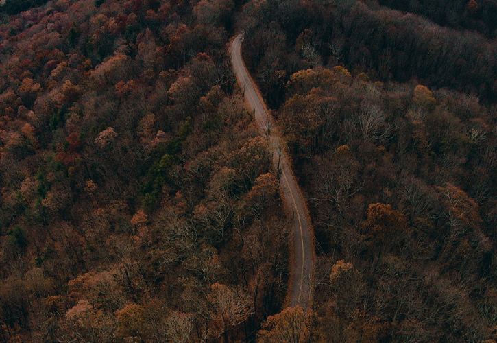 Photo of Appalachian mountains in full fall color.