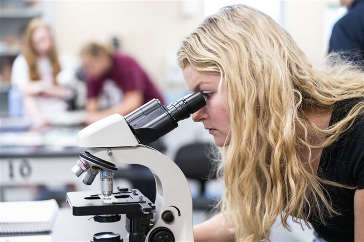 A Bellarmine University student uses a microscope in a science laboratory.