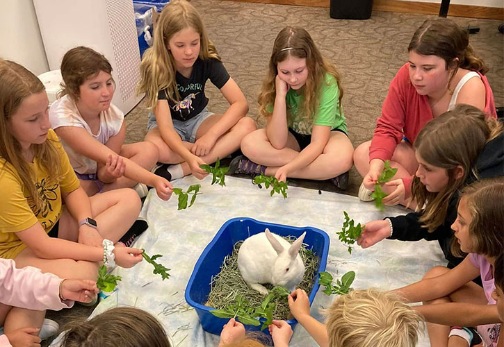 Young campers feeding a white rabbit during a session at Camp Valor.