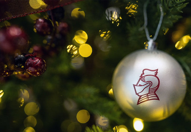 Image of ornament in evergreen foliage