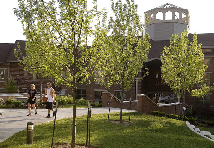 Students walking on a verdant campus