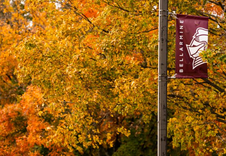 Fall foliage and Bellarmine banner