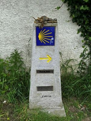 Camino Photo 3 Camino Photo 3