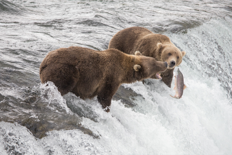 Katmai National Park in Alaska
