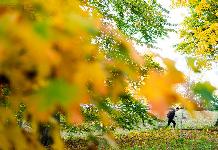 A student walks through fallen leaves