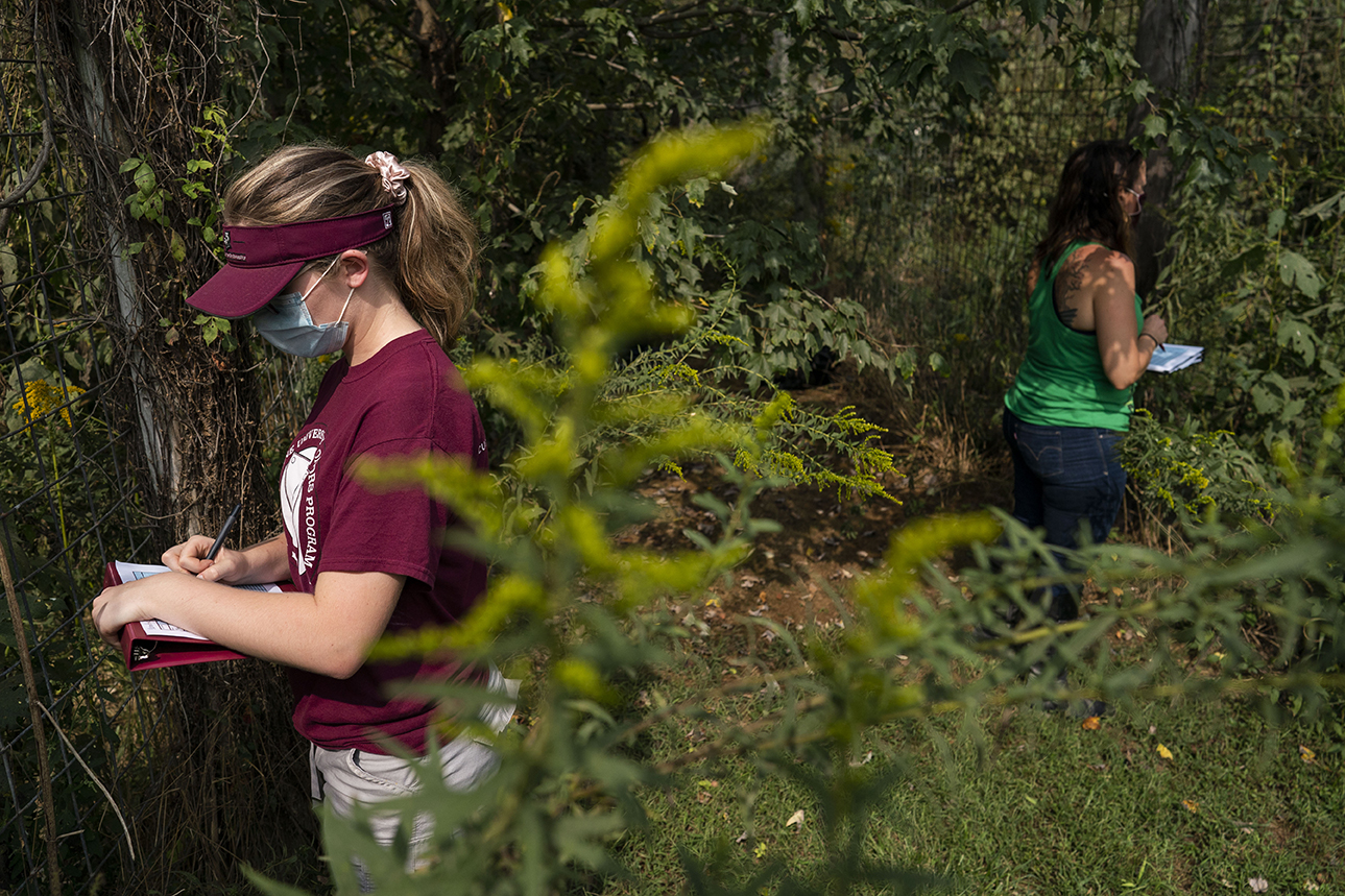 Student and professor studying big cats in their enclosures