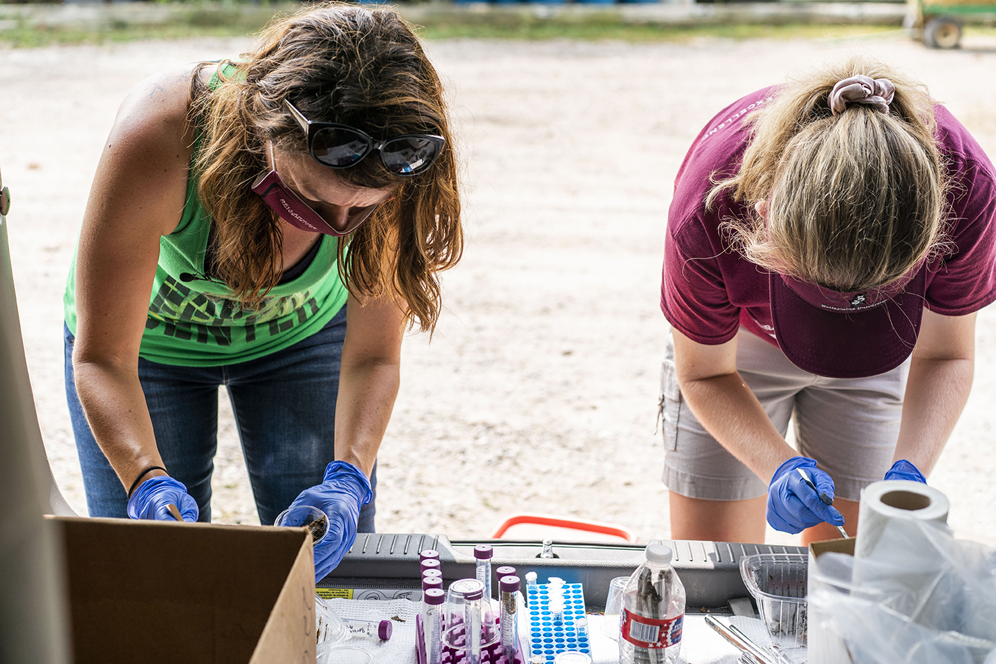 Student and professor studying fecal samples from big cats at the Indiana's Exotic Feline Rescue Center
