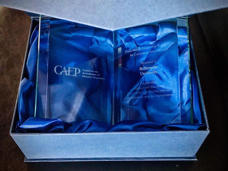 CAEP award
