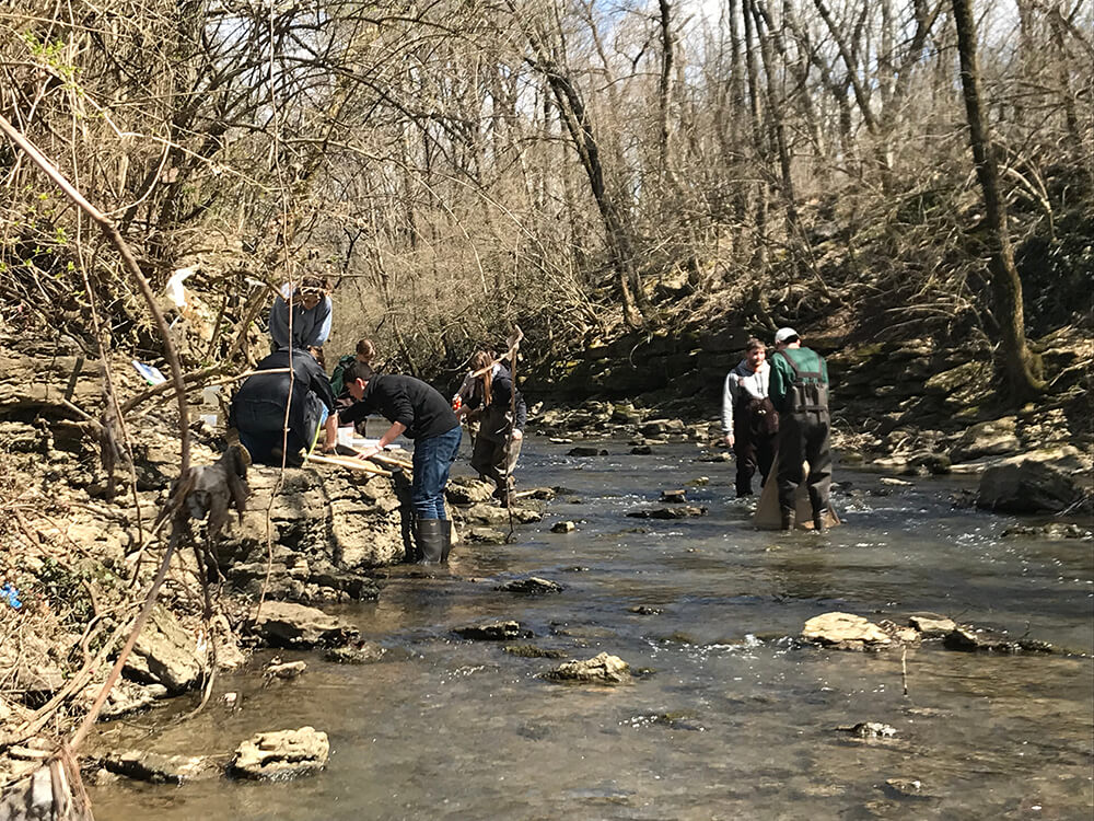 Students in stream