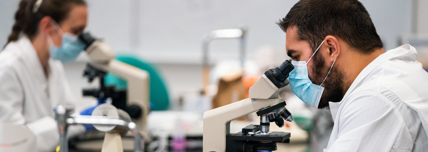 Students in a lab looking in microscopes