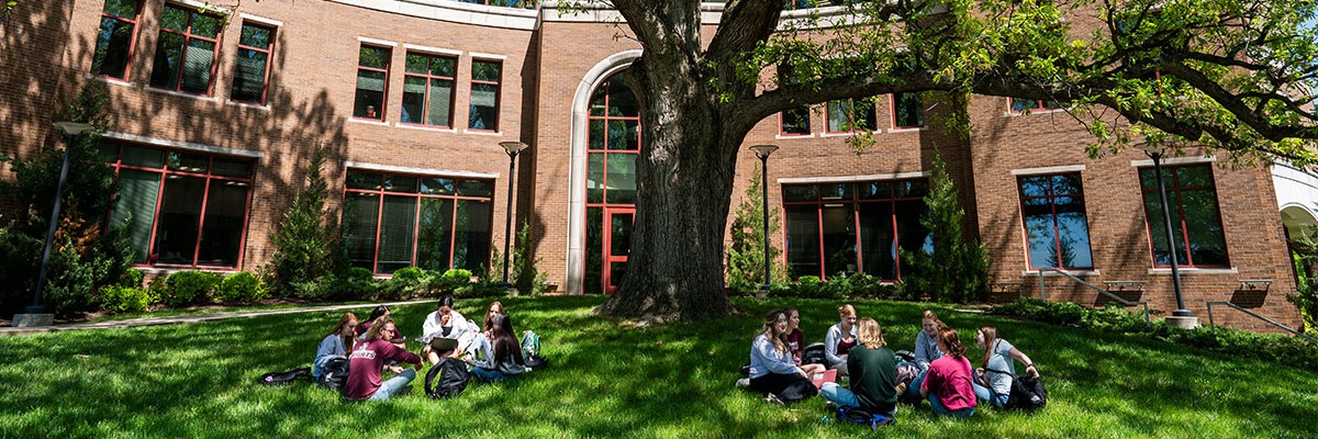 Students sitting under a tree