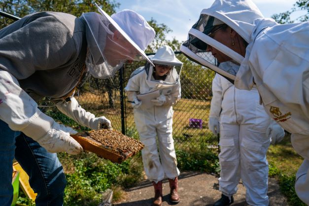 Students and faculty examine the bees at Bellarmine Farm