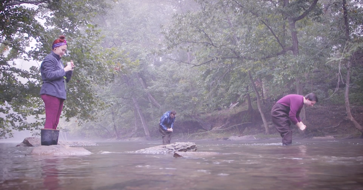 Students collect water samples in Beargrass Creek