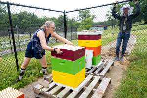 Dr. Kate Bulinski with Bellarmine beehives