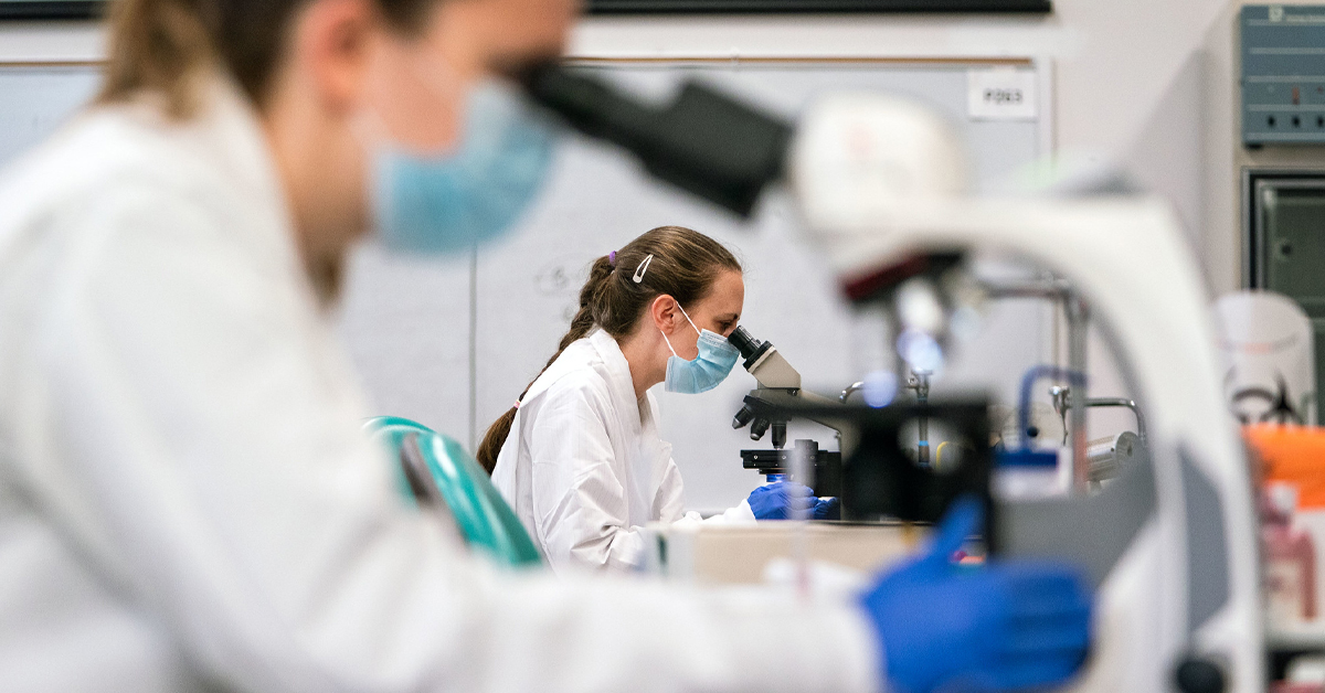 Bellarmine students examine slides through microscopes.