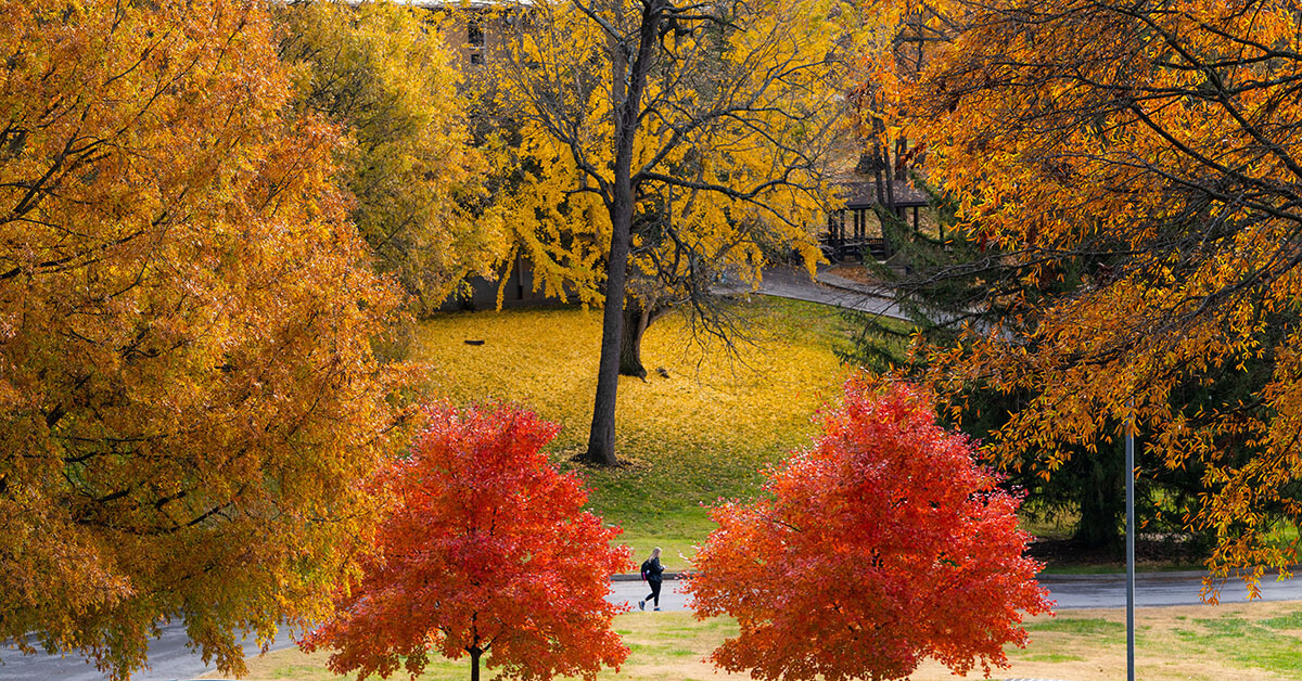 Shot of campus in fall