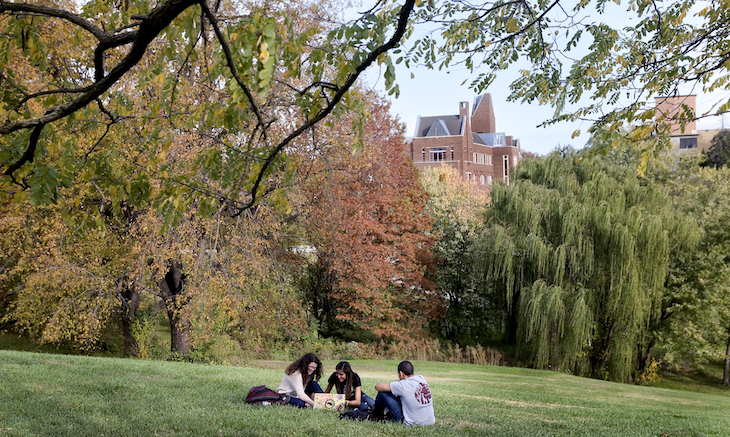 students-in-grass