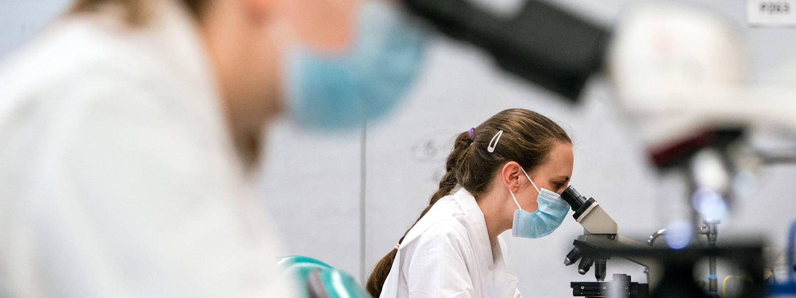 Students looking in microscope