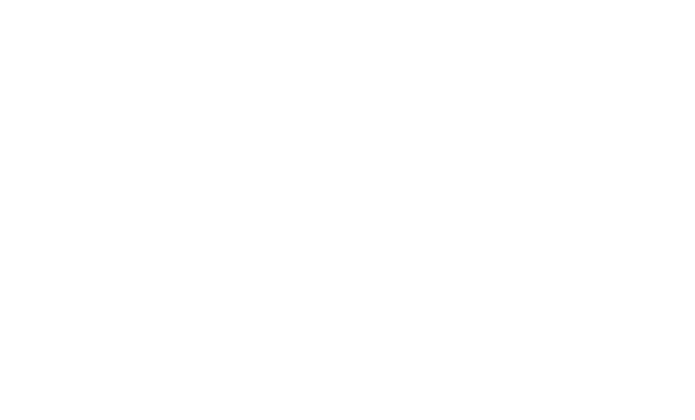 American Physical Therapy Association Logo