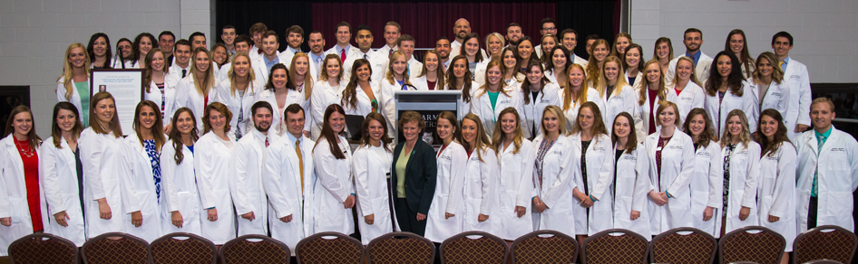 Doctor of Physical Therapy | Bellarmine University