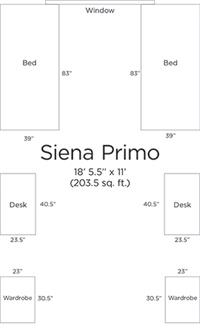 Siena Primo blueprint image