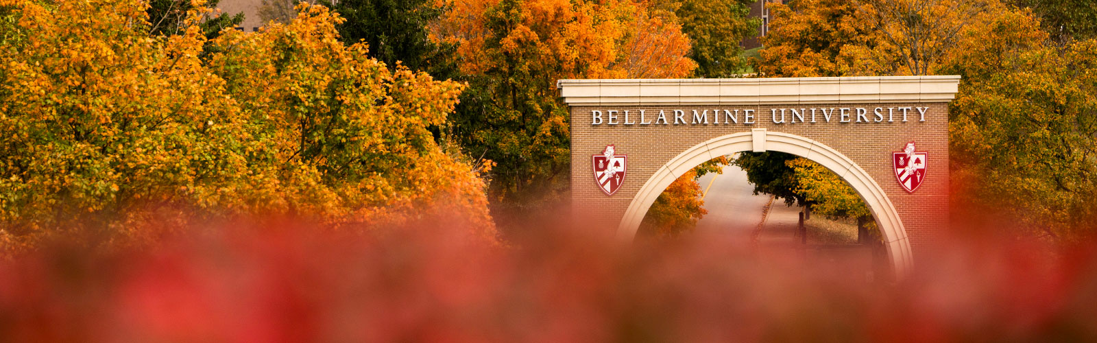 Arial photo of campus from Newburg Road